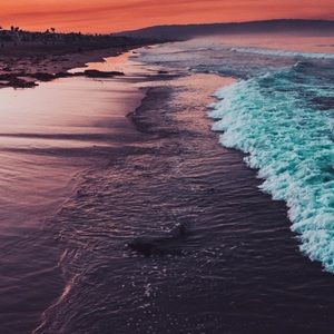 Meet your Posher, Henry